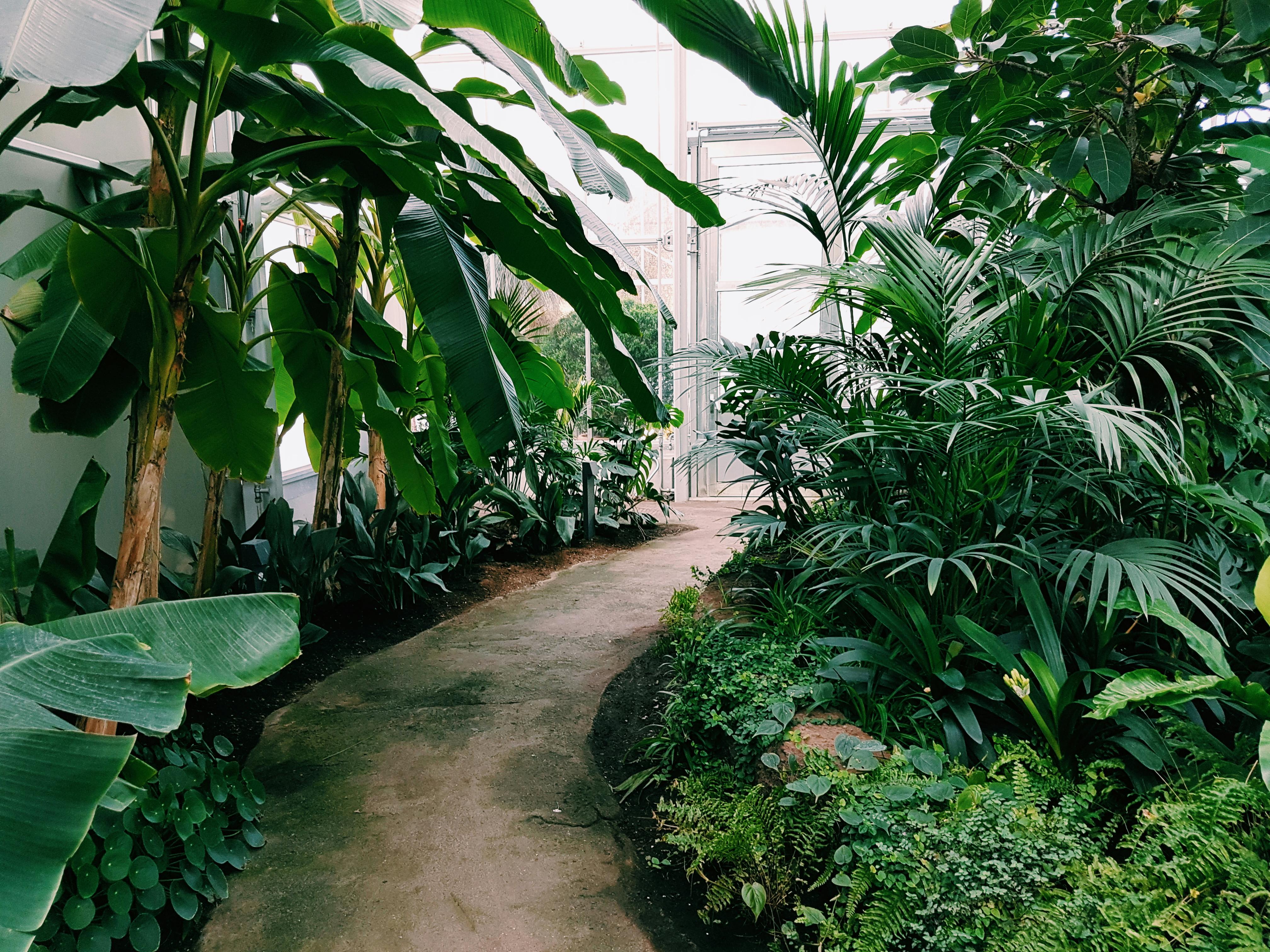 Landscape Design